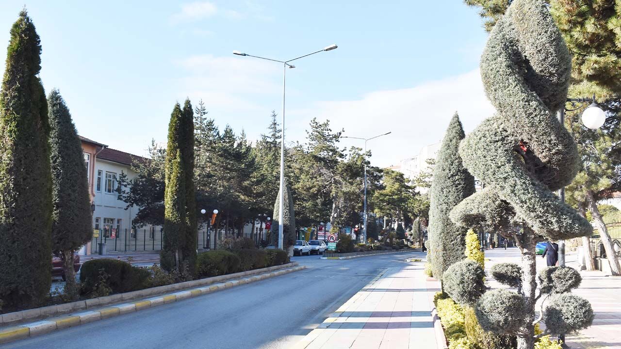 Yozgat meydanında yeşil sanat! Bir gören bir daha bakıyor… 2