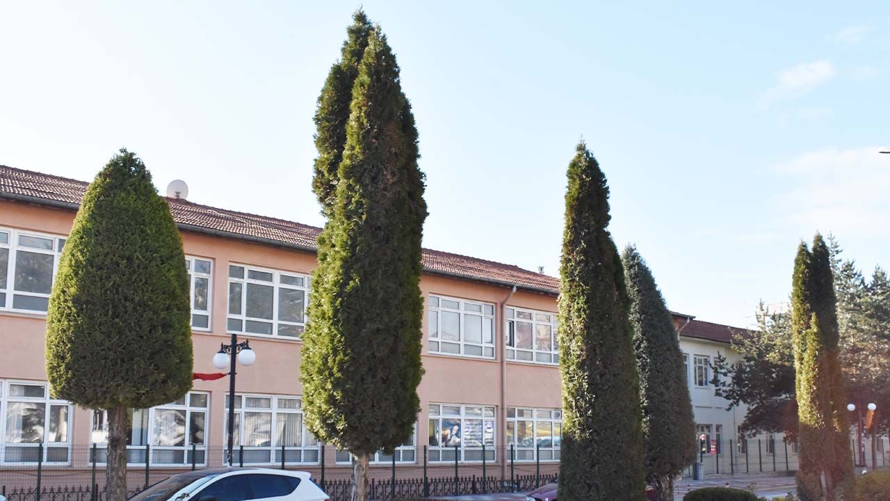 Yozgat meydanında yeşil sanat! Bir gören bir daha bakıyor… 3