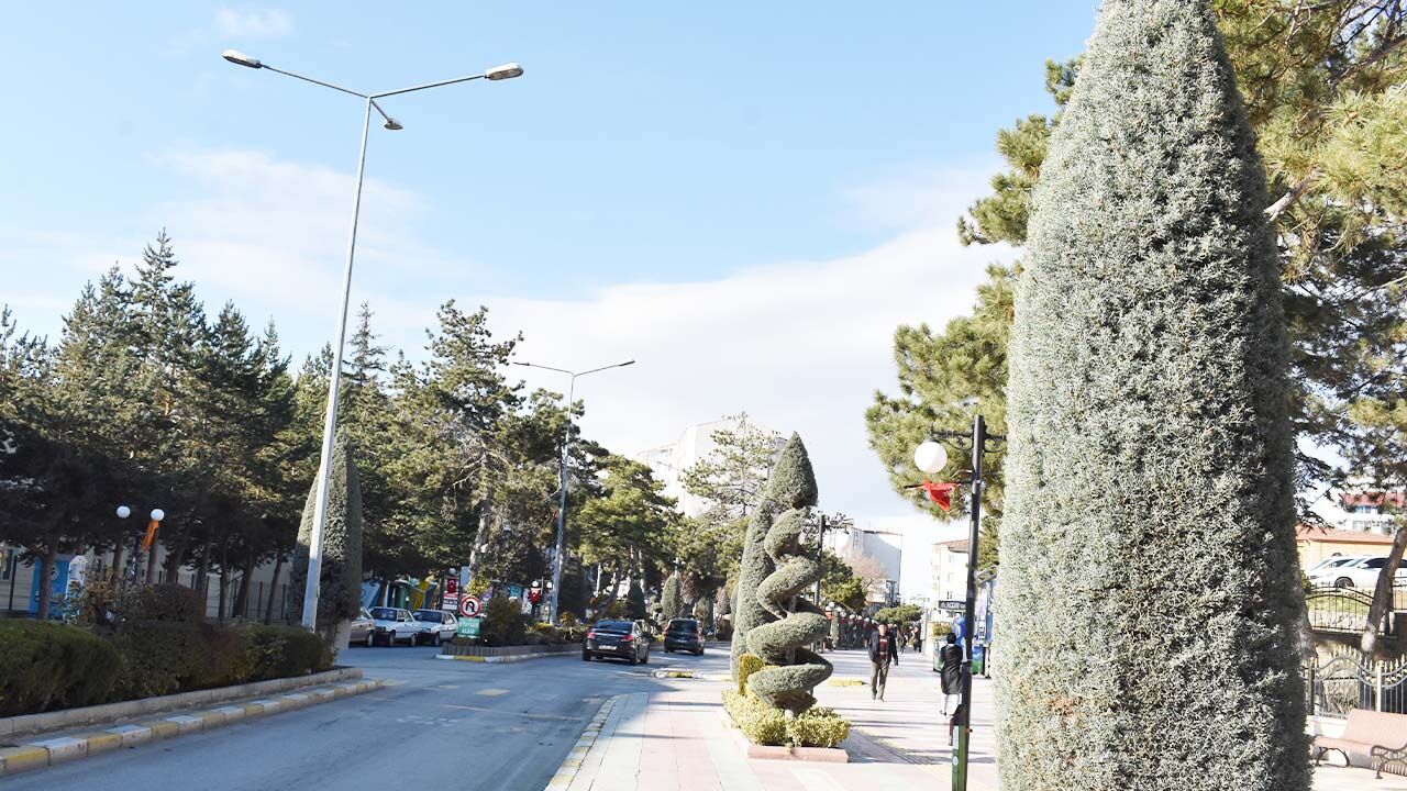 Yozgat meydanında yeşil sanat! Bir gören bir daha bakıyor… 1