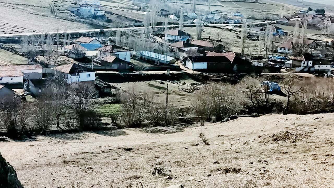 Yozgat'ta bahara müjdesi çiğdemler erken çiçek açtı! 4