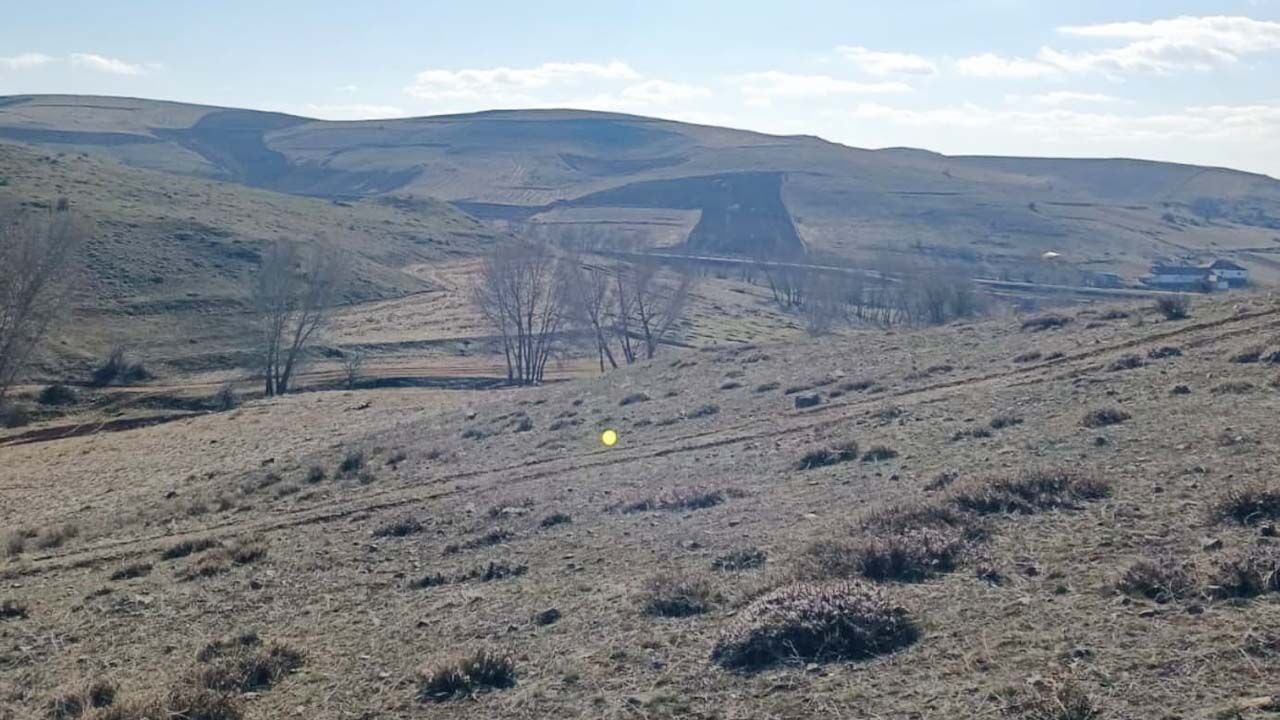 Yozgat'ta bahara müjdesi çiğdemler erken çiçek açtı! 3