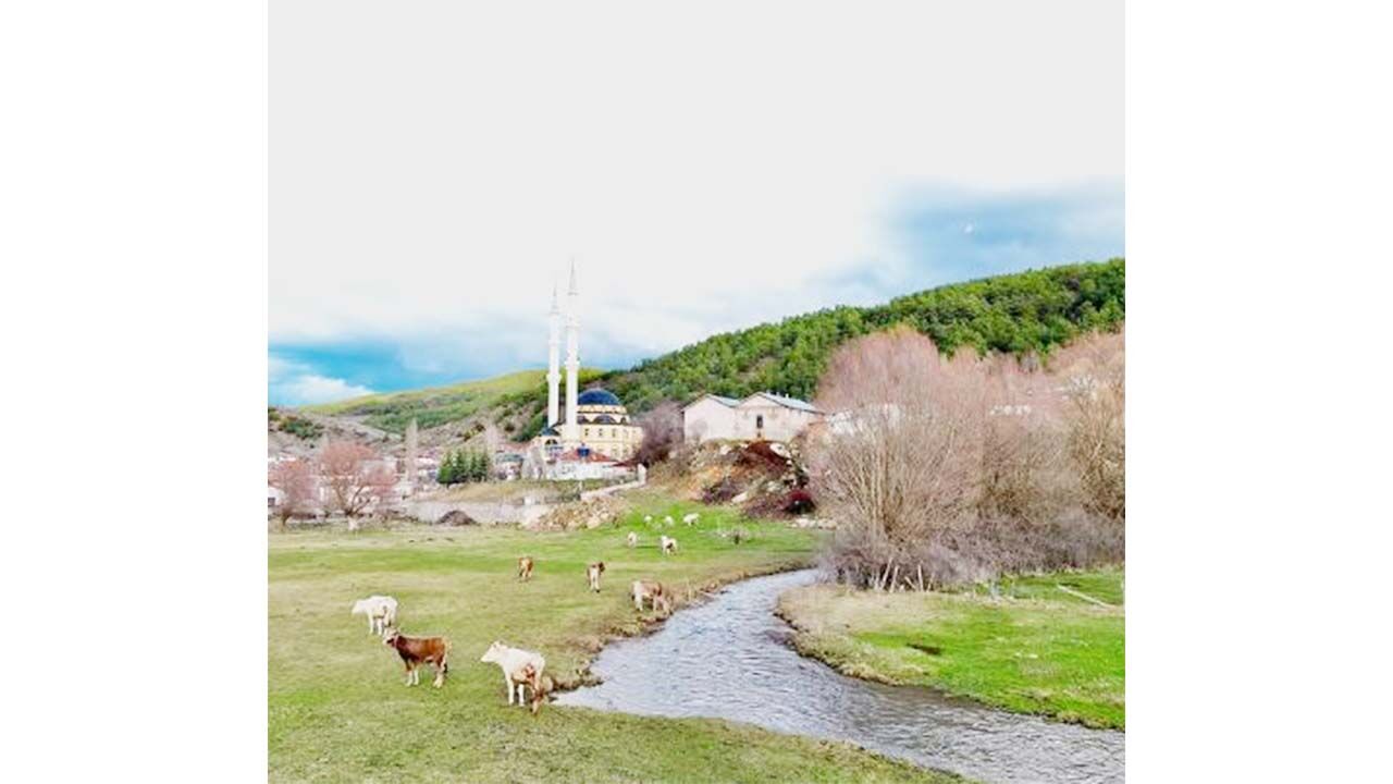 Yozgat’ta Çocukken Resimlerde Çizdiğimiz Köy! 2