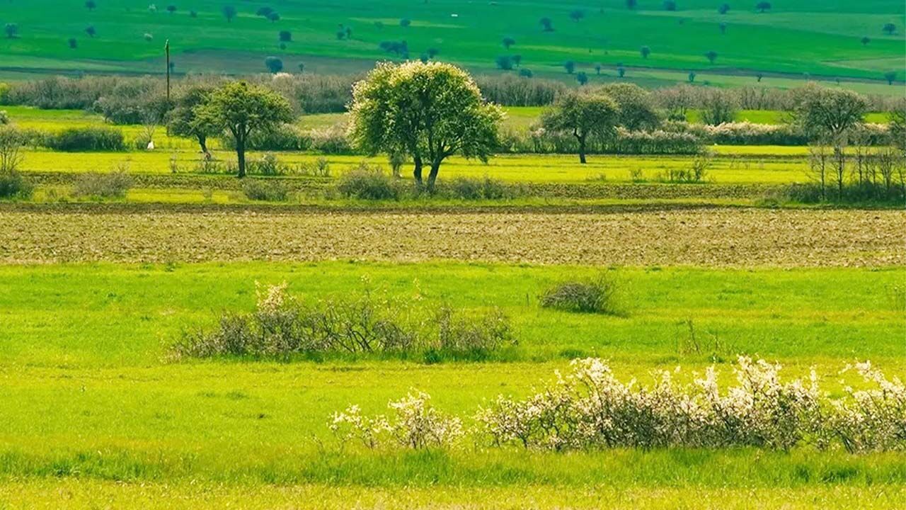 Bahar Akdağmadeni'ne Çok Yakıştı! Her Köşesi Ayrı Bir Tablo! 3