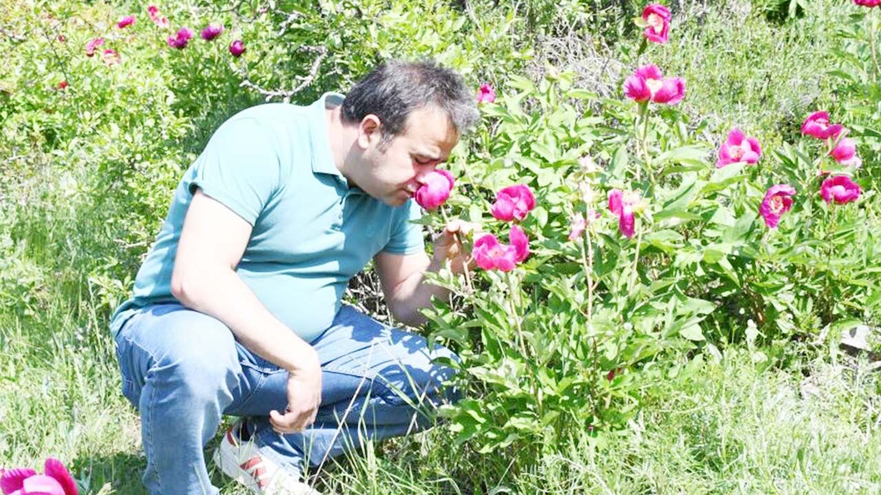 Cehrilik’te Bahar Başlıyor: Yozgat’ın Lalesi, Efsanesi ve Emeğiyle Büyülüyor 5