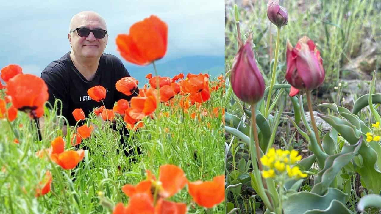 Cehrilik’te Bahar Başlıyor: Yozgat’ın Lalesi, Efsanesi ve Emeğiyle Büyülüyor 7