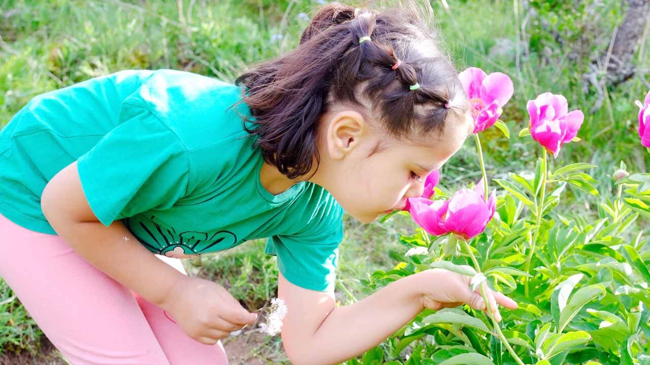 Cehrilik Lalesi: Doğanın Kısa Süreli Mucizesi 16