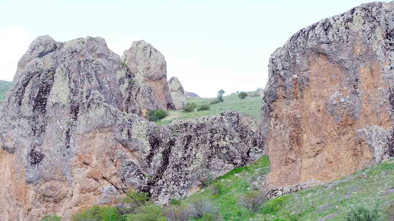 Cehrilik Lalesi: Doğanın Kısa Süreli Mucizesi 1