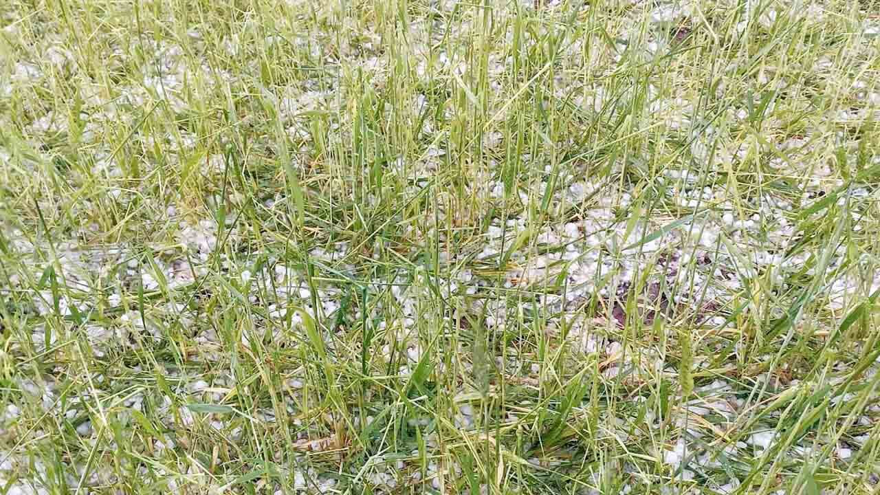 Yozgat ve 6 İlçesinde Sel ve Dolu Felaketi: Tarım Arazileri Zarar Gördü 12