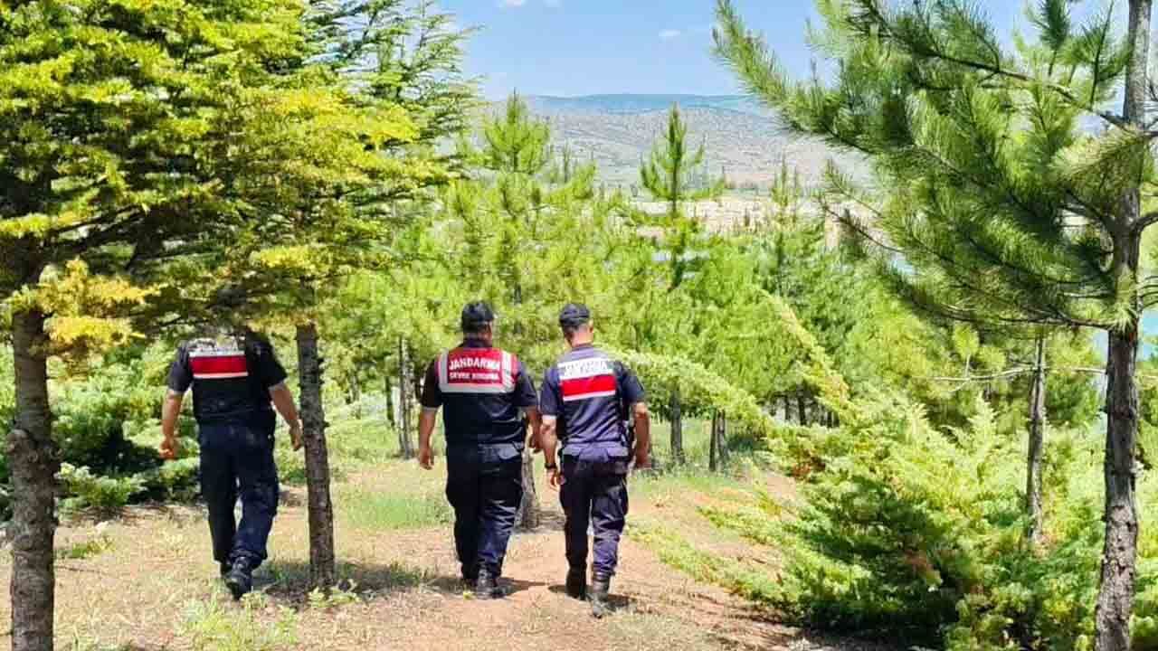 Yozgat Jandarması’ndan çevre harekatı: Gölette ölü domuz çıkarıldı, ormandaki çöpler temizlendi 4