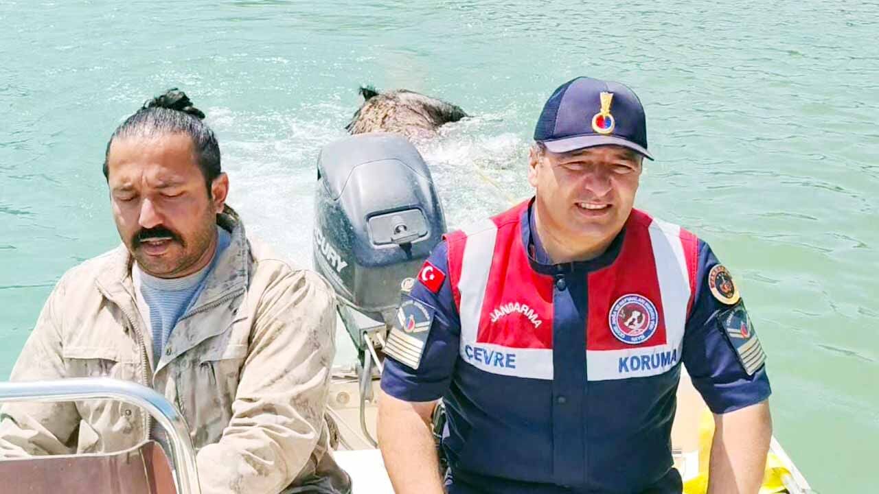 Yozgat Jandarması’ndan çevre harekatı: Gölette ölü domuz çıkarıldı, ormandaki çöpler temizlendi 7