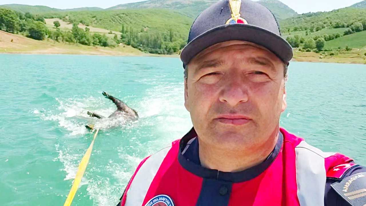 Yozgat Jandarması’ndan çevre harekatı: Gölette ölü domuz çıkarıldı, ormandaki çöpler temizlendi 6
