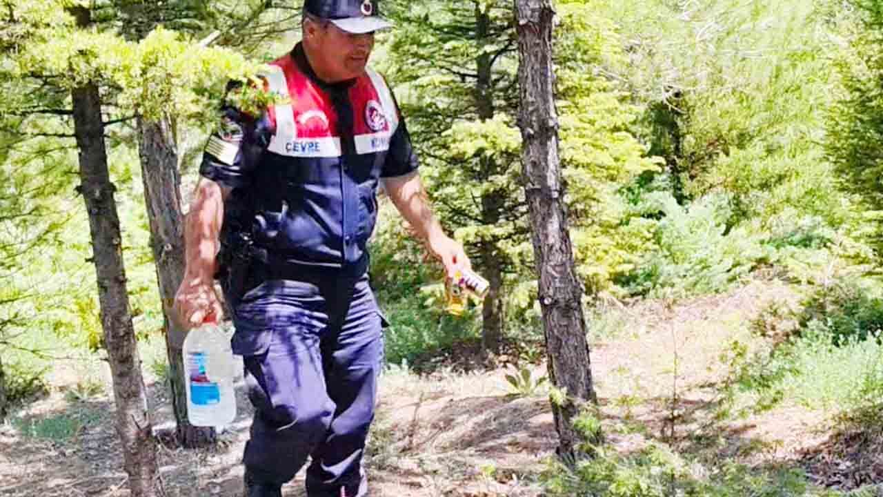Yozgat Jandarması’ndan çevre harekatı: Gölette ölü domuz çıkarıldı, ormandaki çöpler temizlendi 1