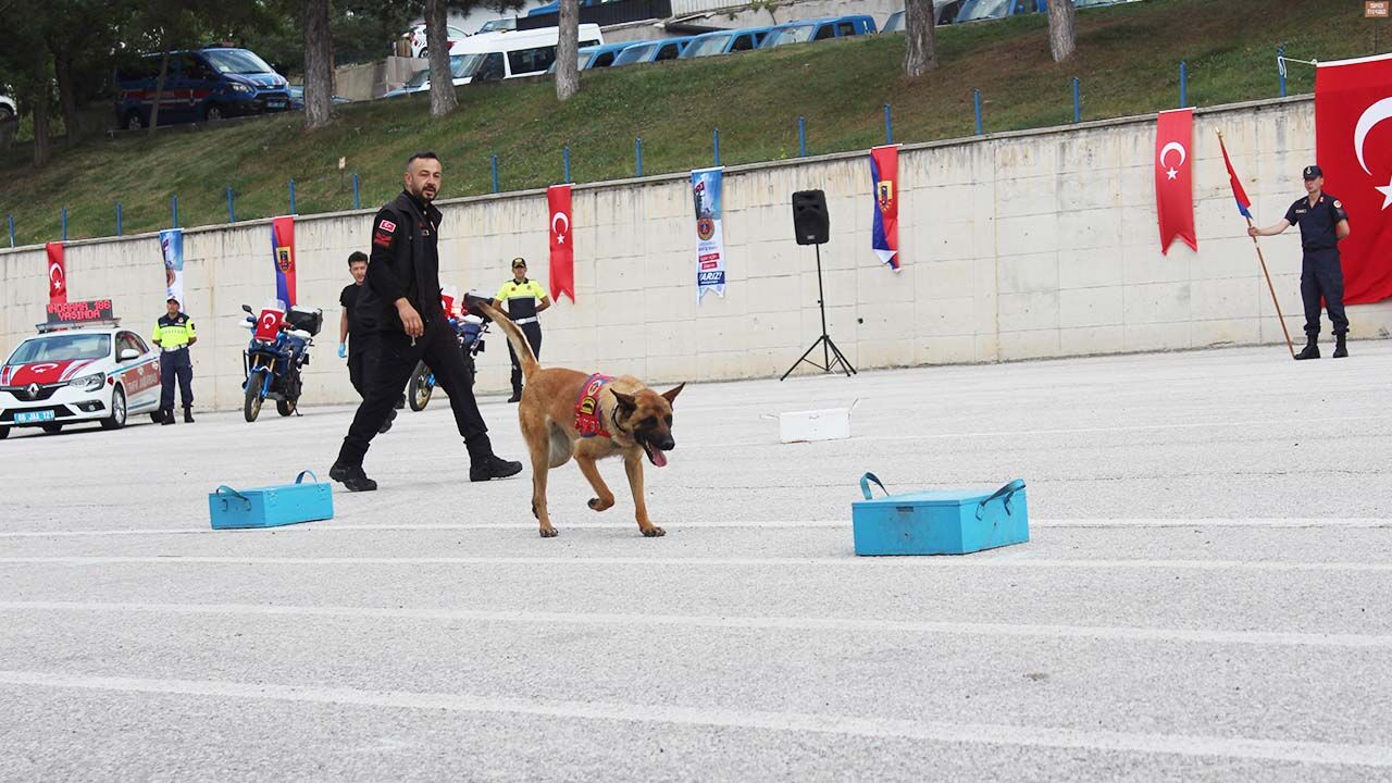 Türk Jandarma Teşkilatı’nın 186. Kuruluş Yıl Dönümü Coşkuyla Kutlandı! 9