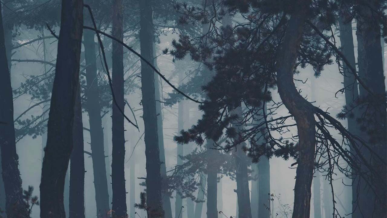 Yozgat’ı bir de böyle görün; şehir değil kartpostal 4