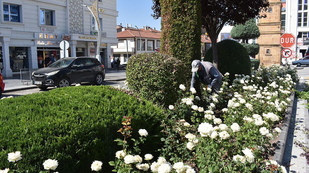 Yozgat’ta Refüj Değil, Açık Hava Sanat Galerisi! Bir bakan bir daha bakıyor 4