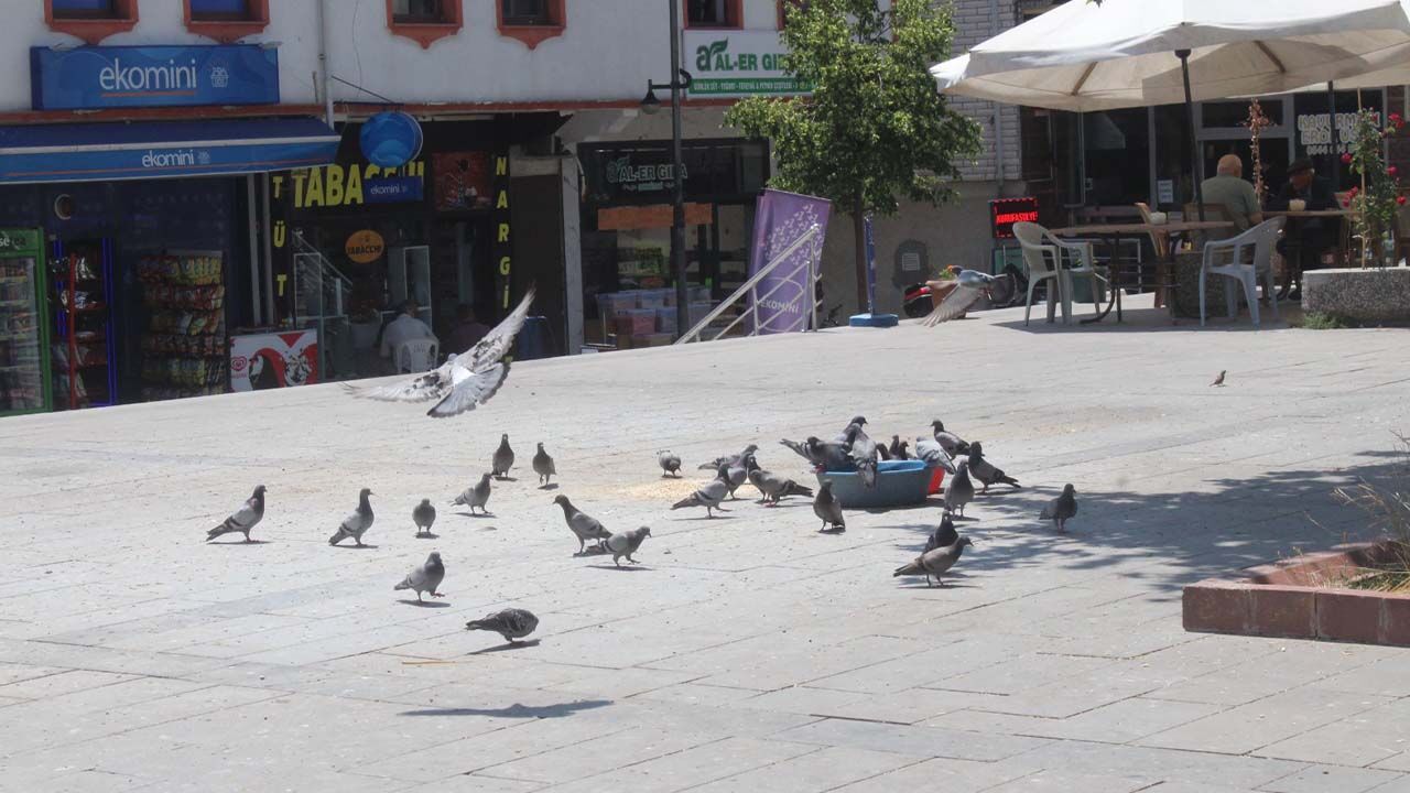 Yozgat’ın Tarihi Un Pazarı: Kültür ve Ticaretin Kalbi 5