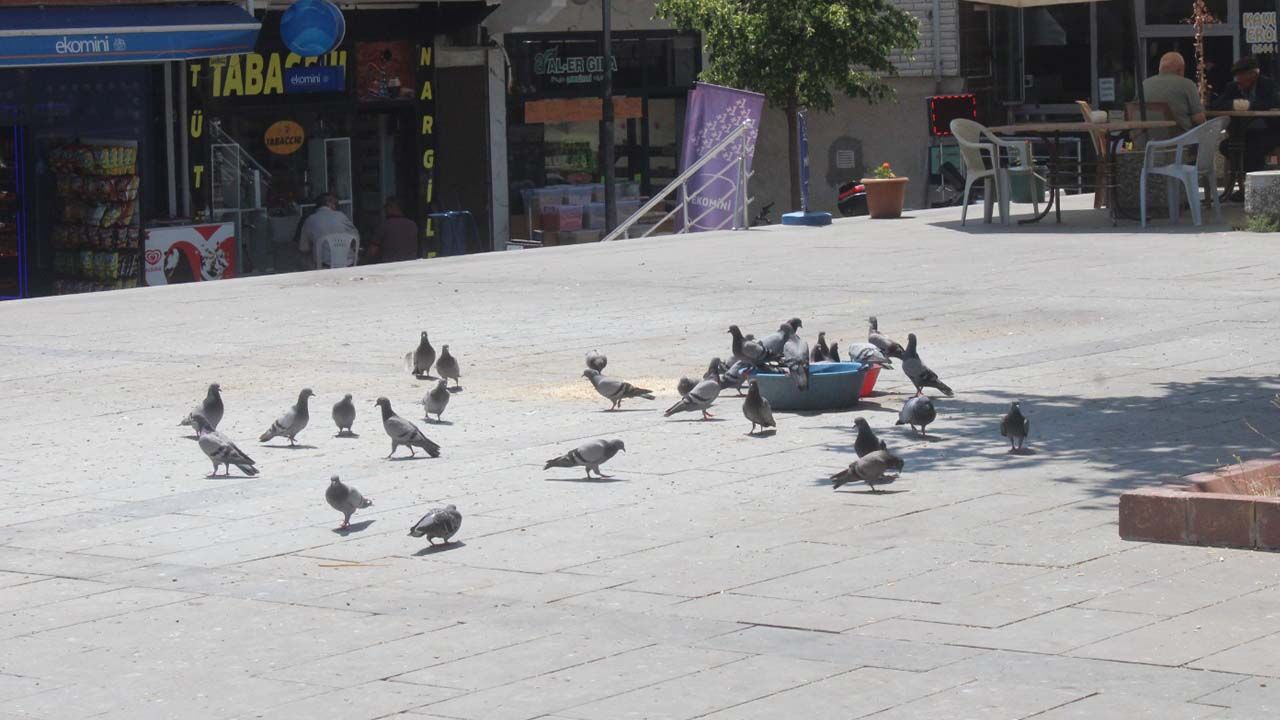 Yozgat’ın Tarihi Un Pazarı: Kültür ve Ticaretin Kalbi 1