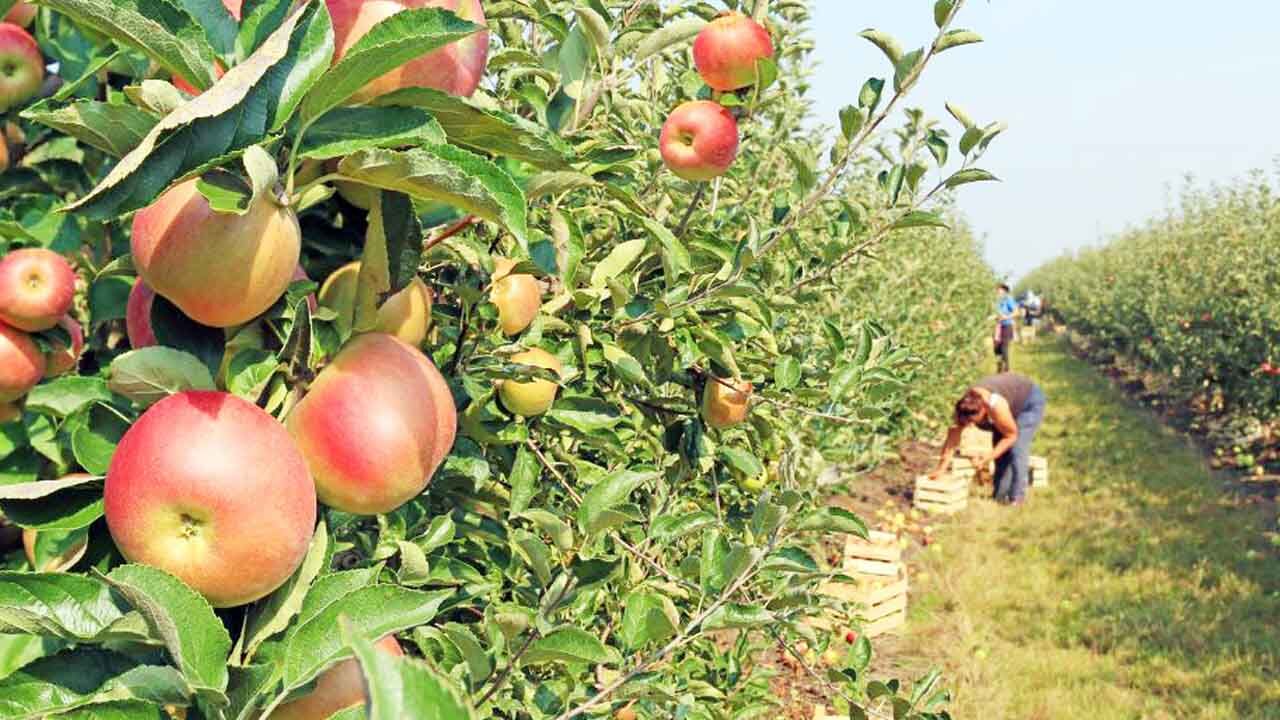 Türkiye yanarken Yozgat donuyor! Tarihin en zor yazı 2