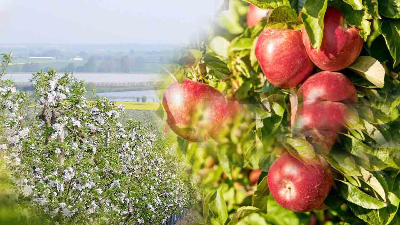 Türkiye yanarken Yozgat donuyor! Tarihin en zor yazı 7
