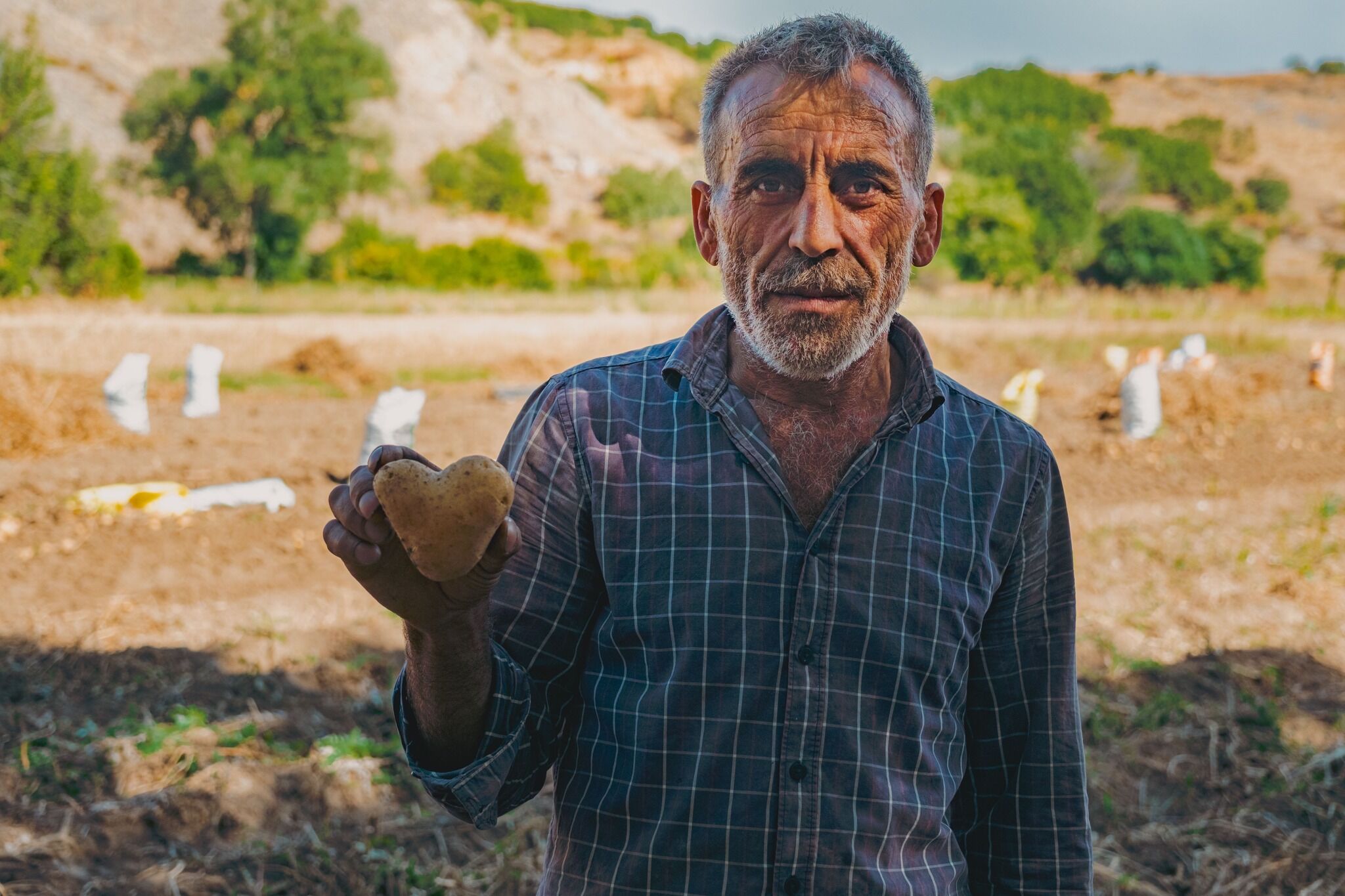 Yozgat’ta patatesin yolculuğu fotoğraf karesine öyle bir yansıdı ki! 6