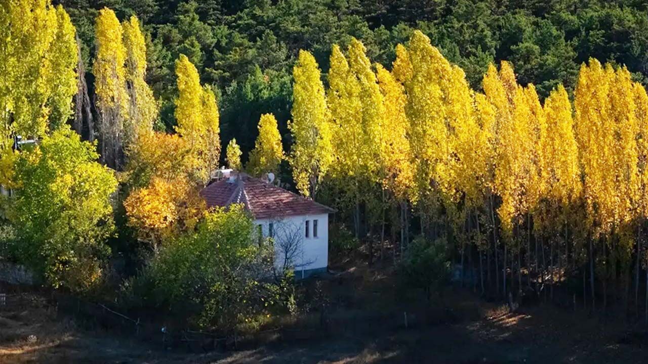 Yozgat’ta Bir Mevsim, Bir İlçe: Akdağmadeni’nde Sonbahar Masalı 5