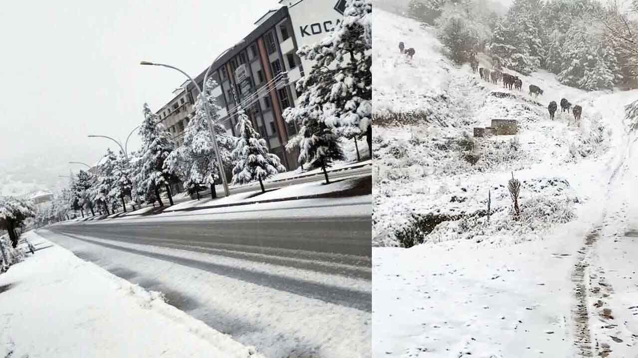 Yozgat’ta mevsimin ilk karı: yüksekler beyaza büründü! Kar en çok o ilçede etkili oldu 8