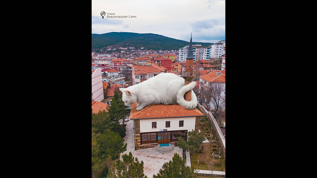Yozgat’ın doğal güzelliklerine bir de bu açıdan bakalım! 1