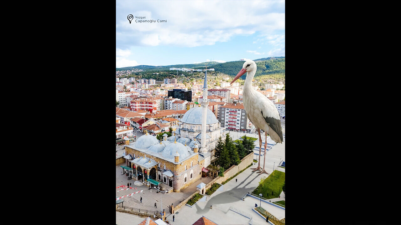 Yozgat’ın doğal güzelliklerine bir de bu açıdan bakalım! 6