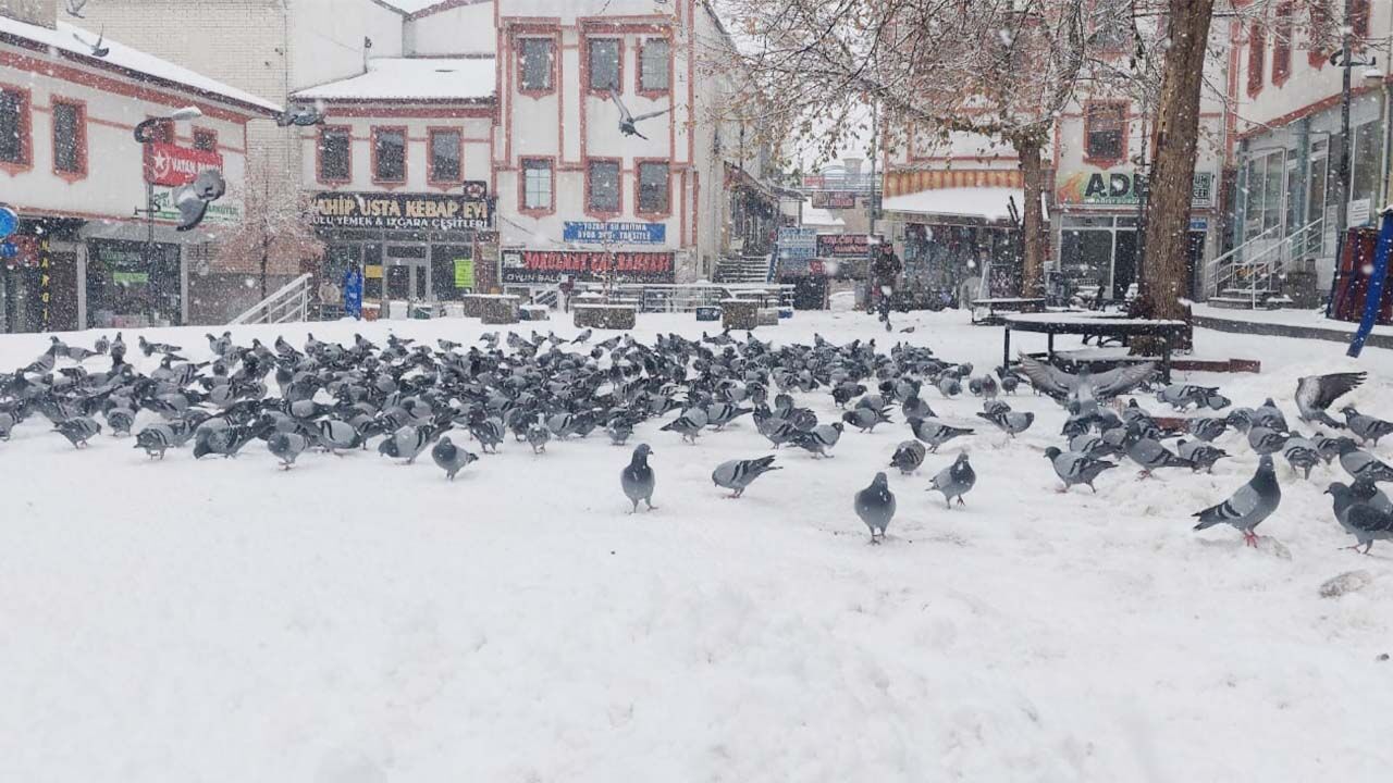 Yozgat’ta Kar Etkisini Artırdı: Kartpostallık Görüntüler Büyüledi! 6