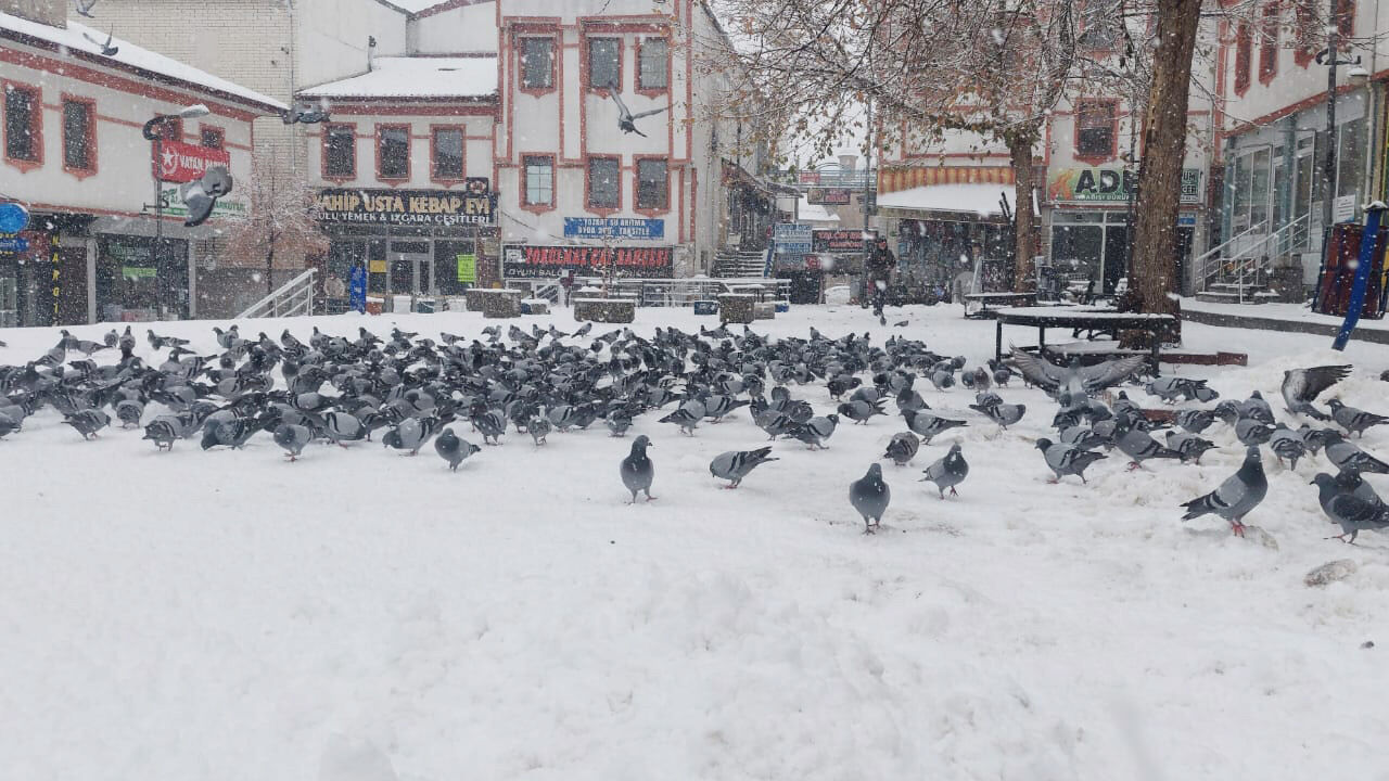 Yozgat’a beyaz örtü çok yakıştı! Sarraflar Caddesi’nde Kar ve Merhamet Aynı Karede 1