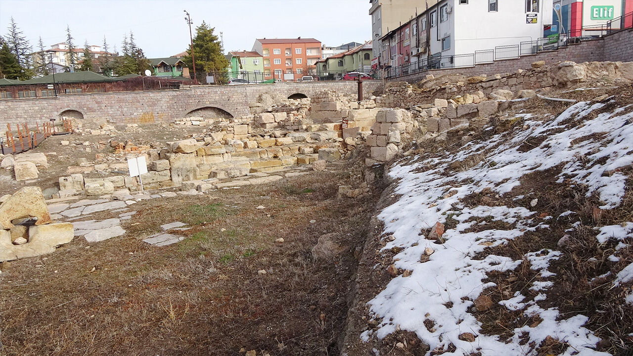 Dünya literatüründe sadece iki örnek var: Biri Yozgat’ta 1