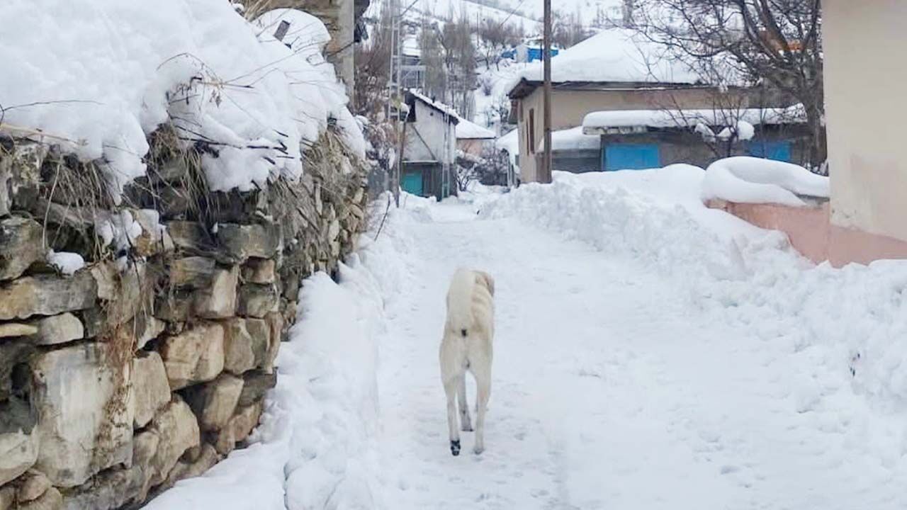 Çayıralan’ın köylerine kar düştü! 5