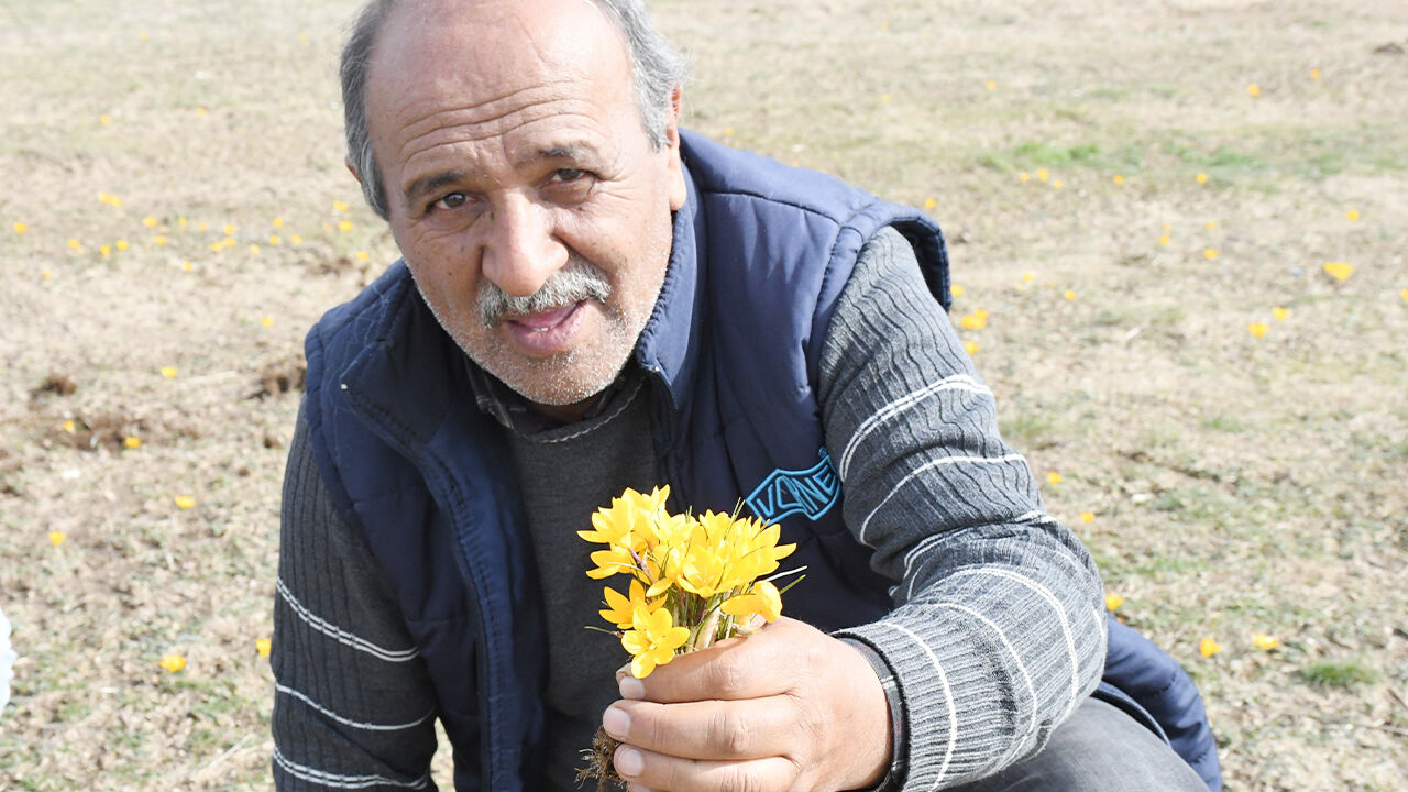 Yozgat’ta Baharın Müjdecisi Çiğdemler Açtı 1