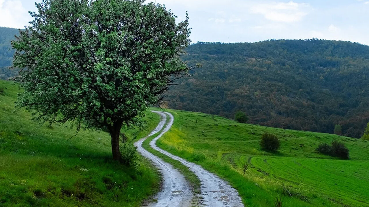 Sanat Gibi Memleket: Akdağmadeni’nin Güzelliği Fotoğraf Karelerinde Hayat Buluyor 3