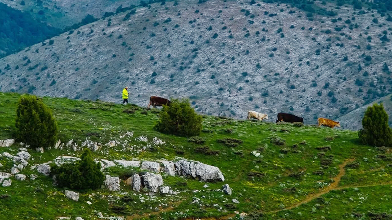 Akdağmadeni’nin Görsel Hafızası: Fotoğraf Sanatçısı Mehmet Doğan’dan "Garip Bir Yolcu" Hikayesi 3