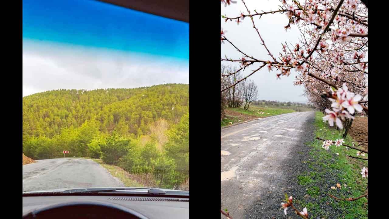 Yozgat Akdağmadeni’nde Yağmur Sonrası Büyüleyen Manzara: Bozok Yaylası Yeşile Büründü 3