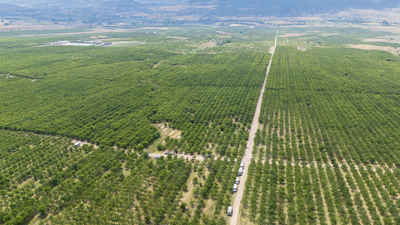 Yozgat’ın Kadışehri İlçesi’nde sınırlar kalktı! 4