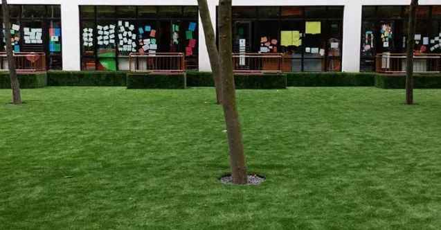 Suni Çim Hakkında En Çok Merak Edilen Sorular