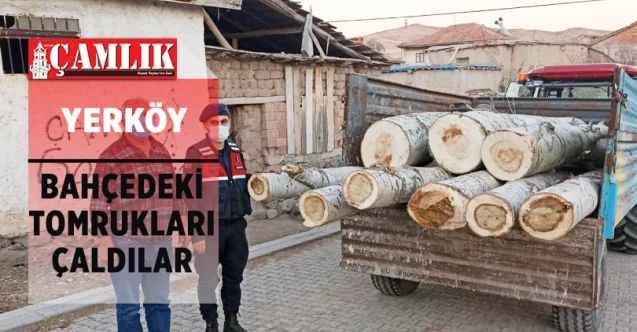 Bahçedeki Meyve Tomruklarını da Çaldılar. Haberimizin Adresi Yerköy...
