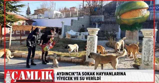 Aydıncık Kaymakamlığı koordinesinde sokak hayvanlarına yiyecek ve su verildi