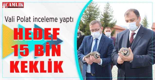 Yozgat Valisi Ziya  Polat inceleme yaptı: Hedef 15 bin keklik