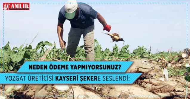 Yozgat Üreticisi Kayseri Şeker Yöneticilerine Seslendi: Ödemeleri Neden Yapmıyorsunuz?