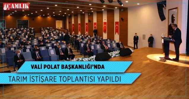 Vali Polat başkanlığında Tarım istişare toplantısı yapıldı