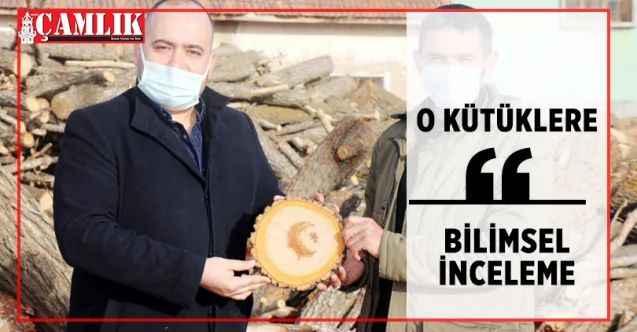 O Kütüklere Bilimsel İnceleme... Ayyıldızlar Nasıl Oluştu?