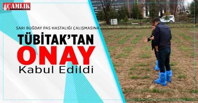 Bozok Üniversitesi Akademisyenlerinden yeni TÜBİTAK projesi