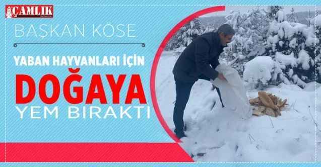 Belediye Başkanı Köse: Sokak Hayvanlarını Olduğu Gibi Yaban Hayvanlarını da Unutmuyor