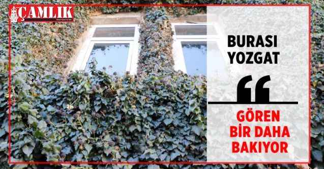 Yok böyle bir bina. Yozgat'ın merkezinde yeşilin mantoladığı kurum