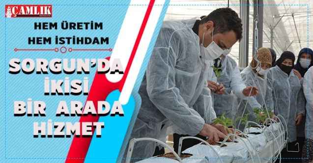 Sorgun’da hem üretim hem istihdam