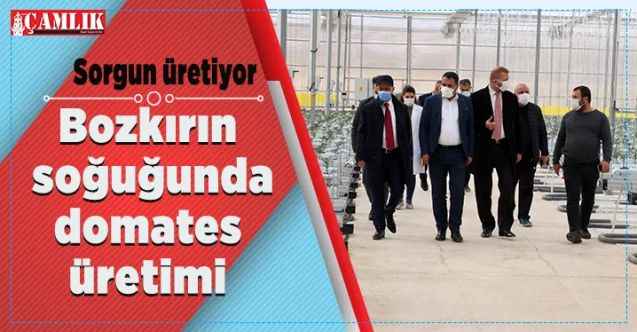 Yozgat'ın Sorgun İlçesi'nde üretime önem veriliyor
