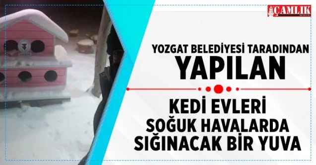Soğuk Havalarda Sığınacak Bir Yuva